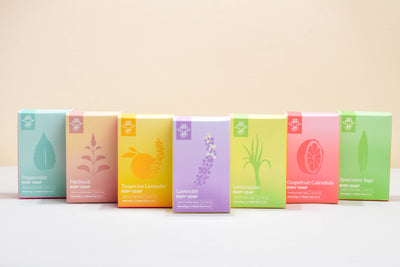 organic body soap
