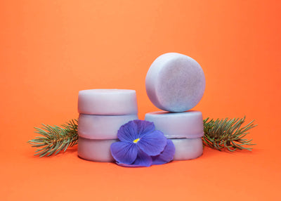 Shampoo + Conditioner Bars Pairs - Kit bundle