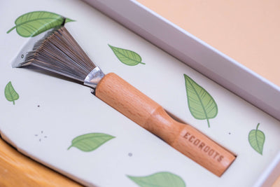 Wooden Hair Brush - Bundle shampoo