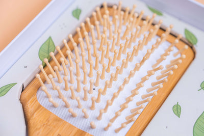 Wooden Hair Brush - Bundle shampoo