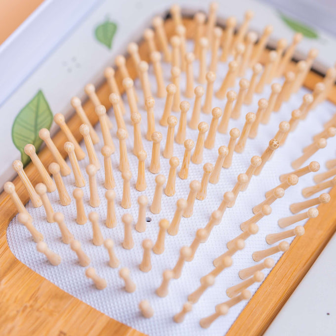 Wooden Hair Brush - Bundle shampoo