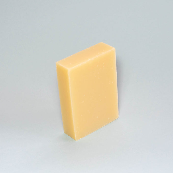 2 in 1 Shampoo & Conditioner Bar