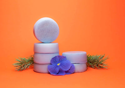 Forest Mist - Zero Waste Conditioner Bar