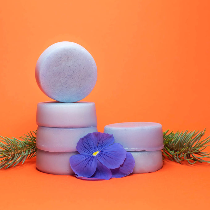 Forest Mist - Zero Waste Conditioner Bar