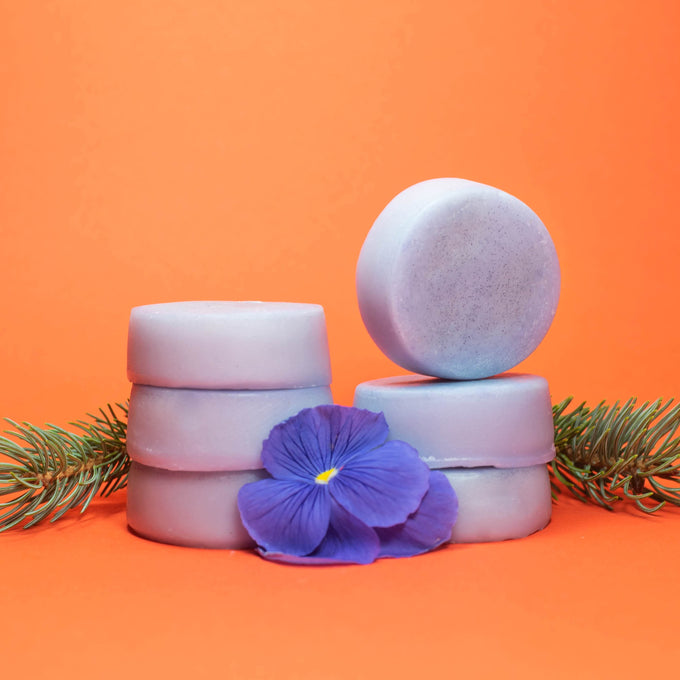 Forest Mist - Zero Waste Conditioner Bar