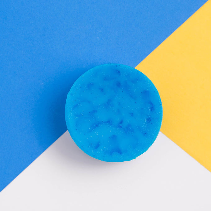 Forest Mist - Zero Waste Conditioner Bar