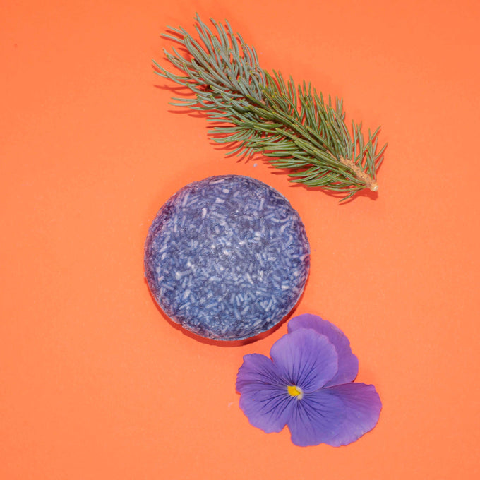 Forest Mist - Champú en barra Zero Waste