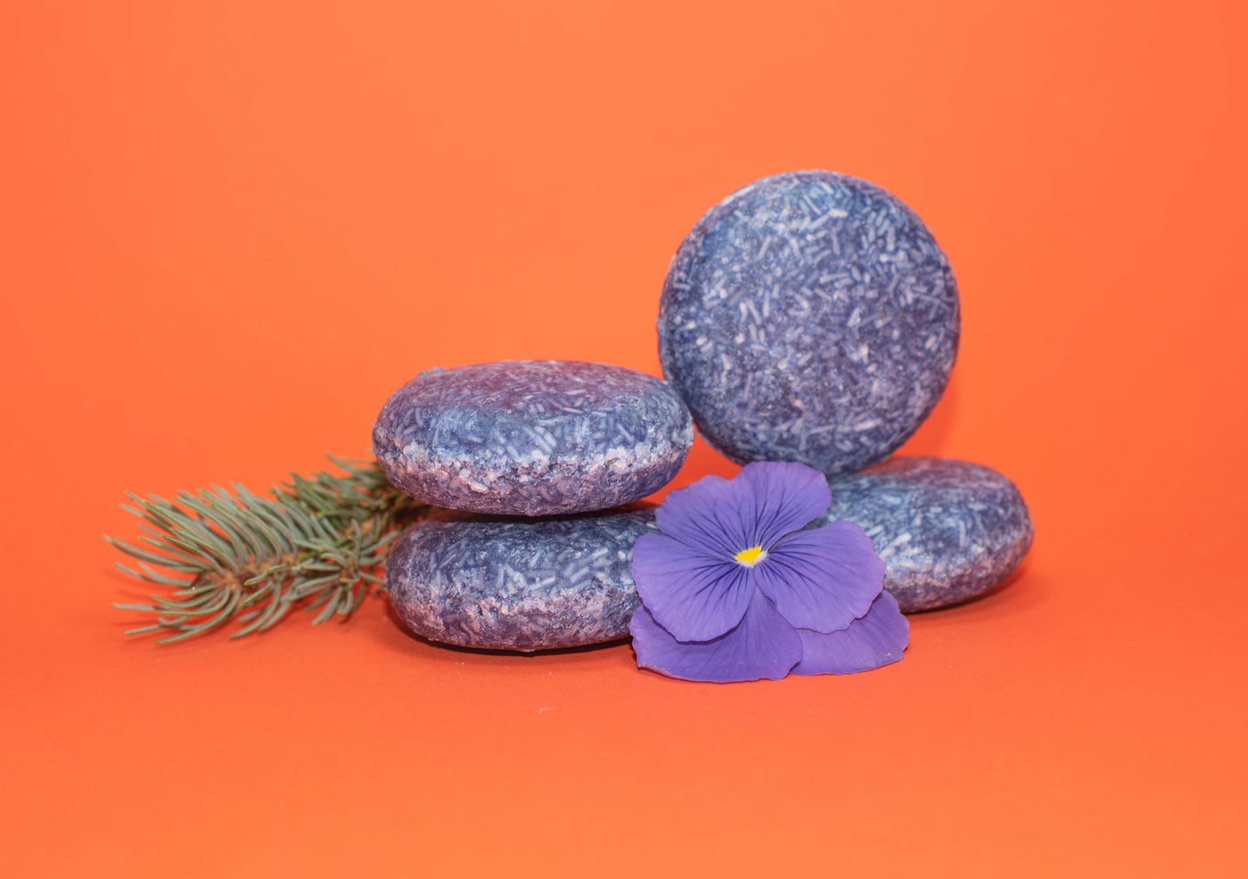 Forest Mist - Zero Waste Shampoo Bar