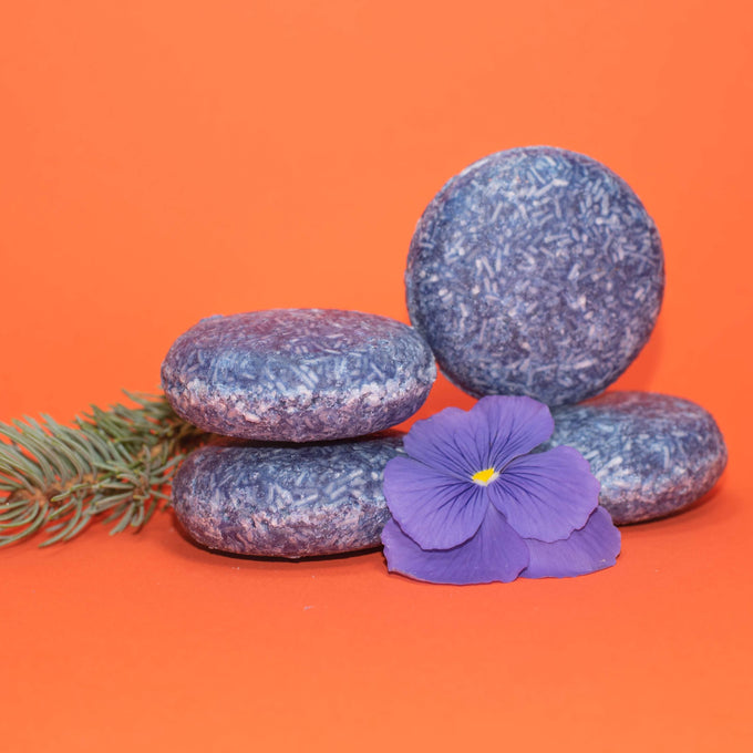 Forest Mist - Champú en barra Zero Waste