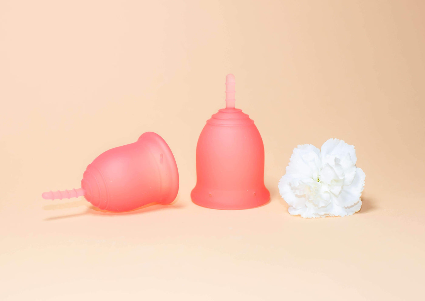 Lena Cup