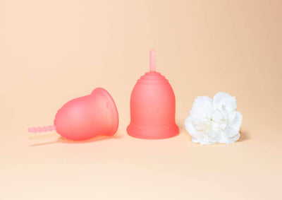 Lena Cup