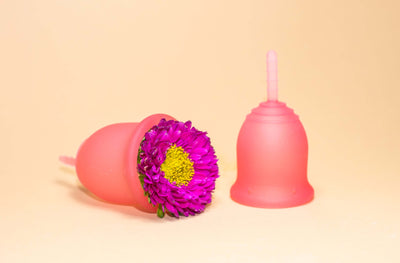 Lena Cup