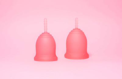 Lena Cup