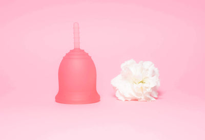 Lena Cup