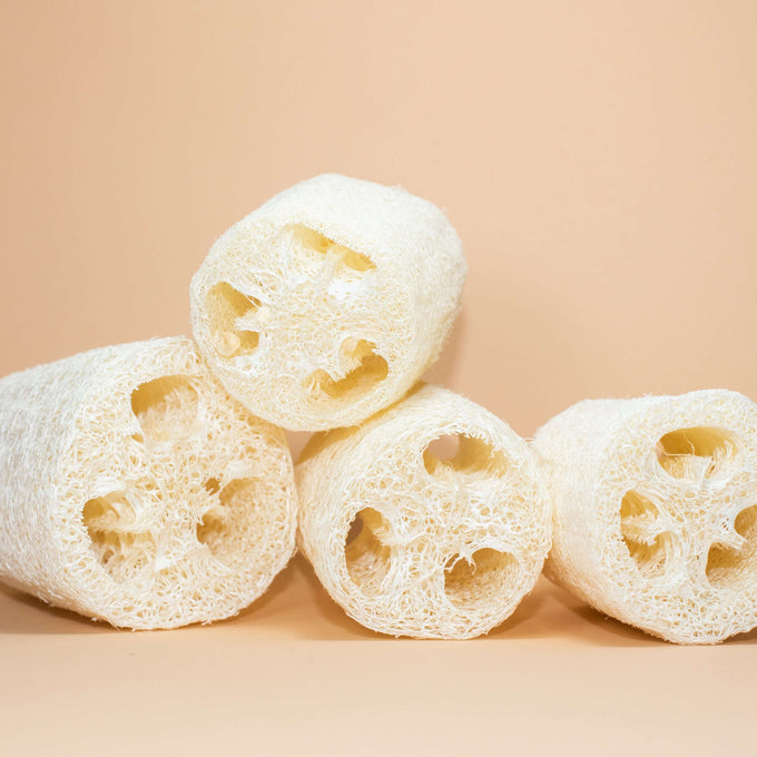 Natural Loofah
