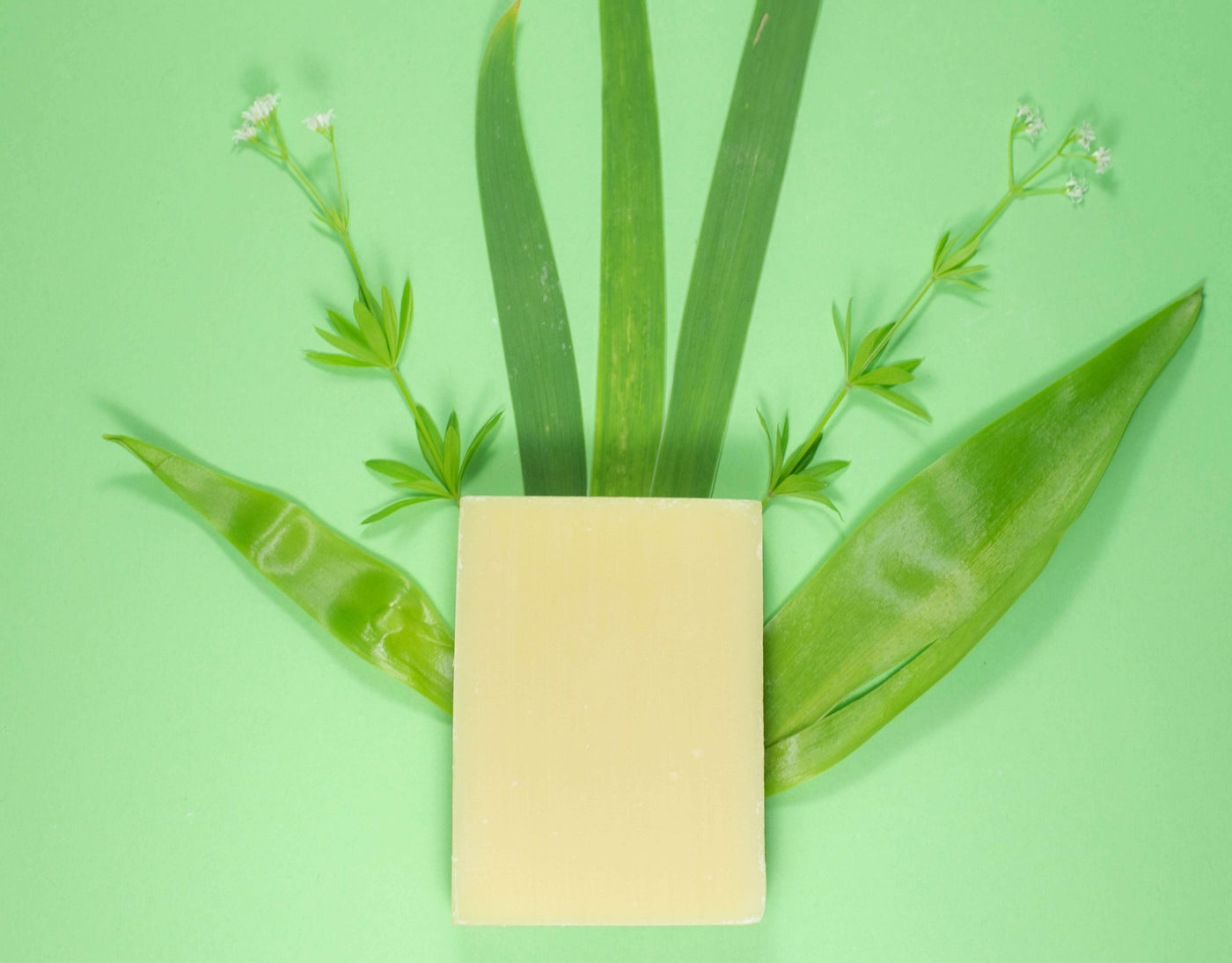 Neem Soap - Body & Hair Bar