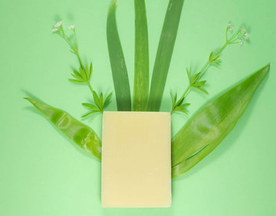 Neem Soap - Body & Hair Bar