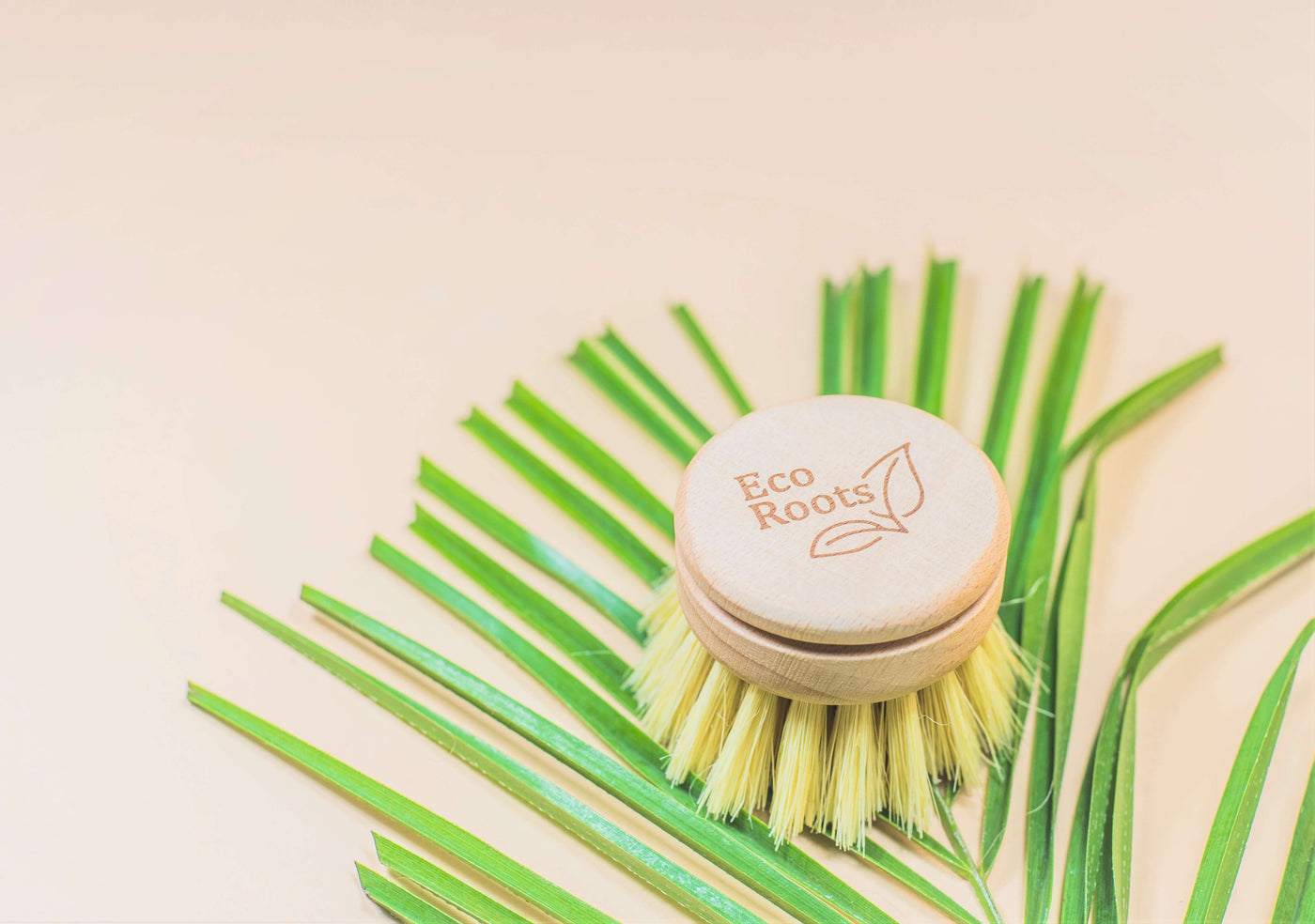 Wooden Dish Brush - Replacement Head