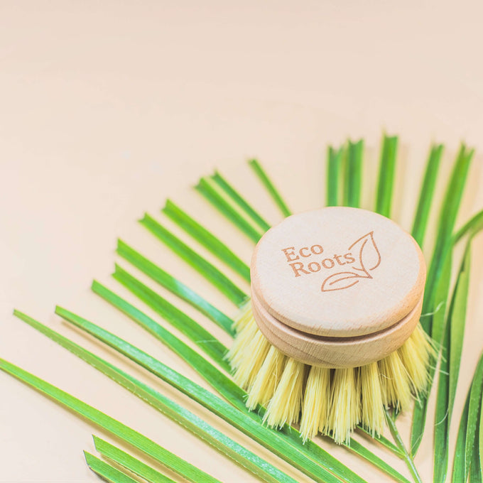Wooden Dish Brush - Replacement Head