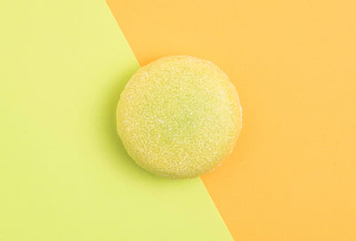 Shampoo Bars