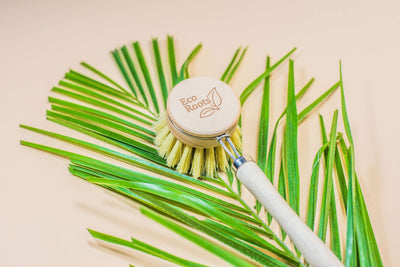 Wooden Dish Brush