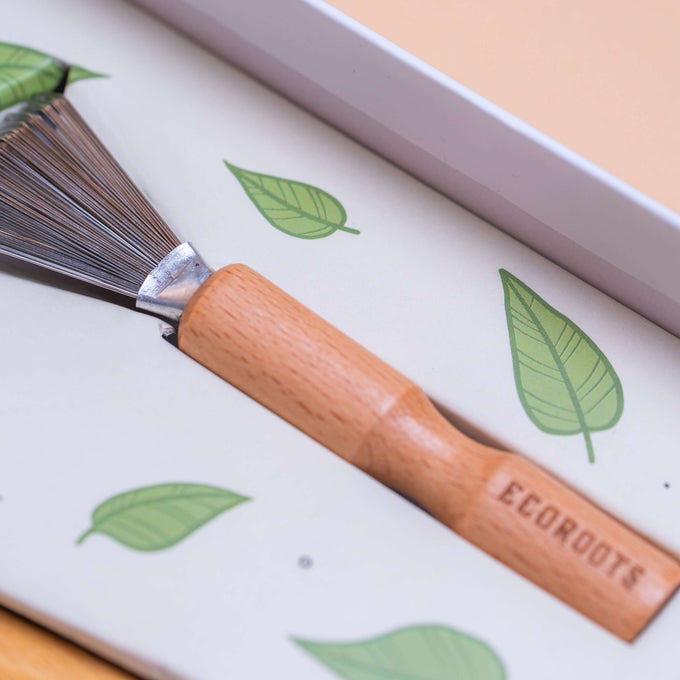 cepillo de pelo de madera
