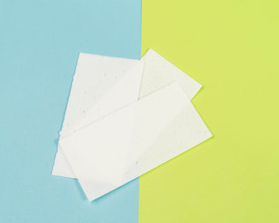 Zero Waste Laundry Detergent