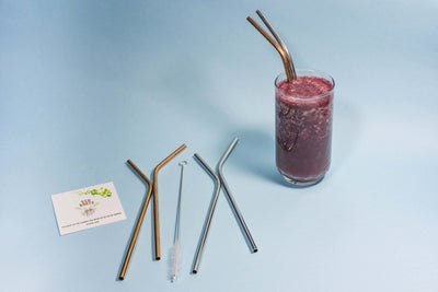 8'' Stainless Steel Straw